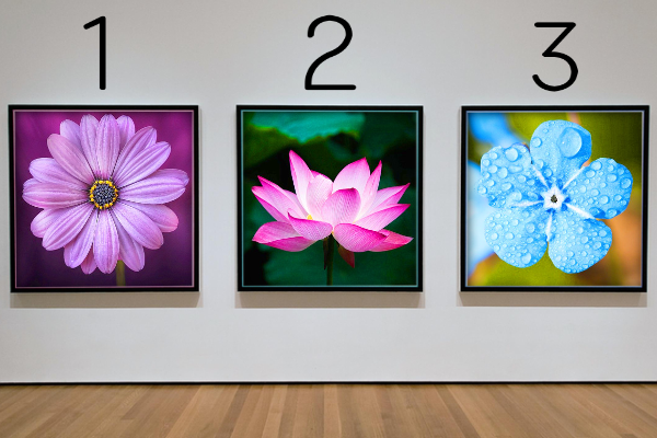 3枚の写真(カラー)