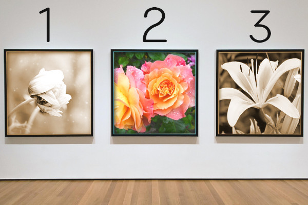 3枚の写真(カラー)