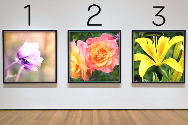 3枚の写真(カラー)