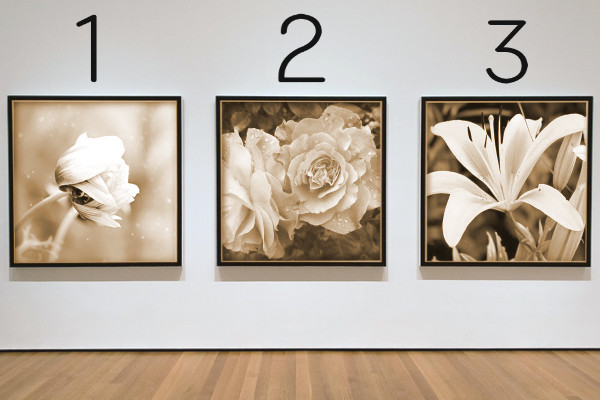 3枚の写真(セピア)