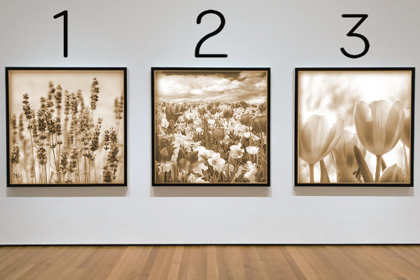 3枚の写真(セピア)