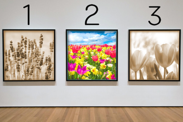 3枚の写真(カラー)