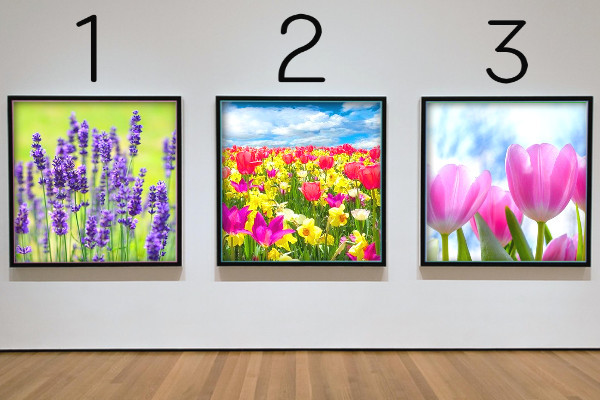 3枚の写真(カラー)