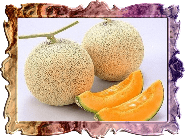メロンの写真