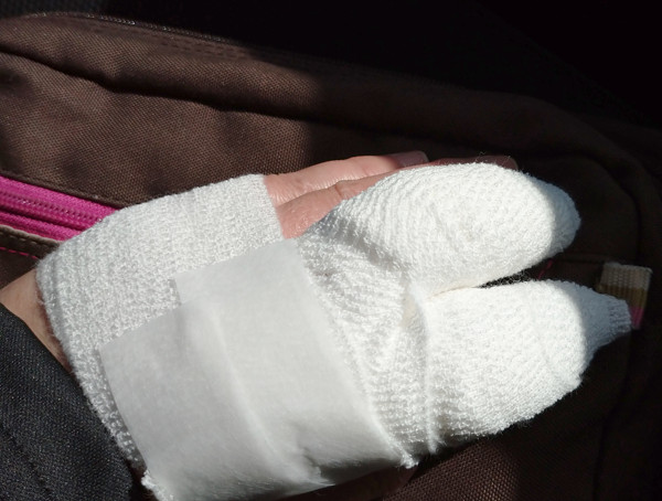 ぴぴりさんの投稿写真