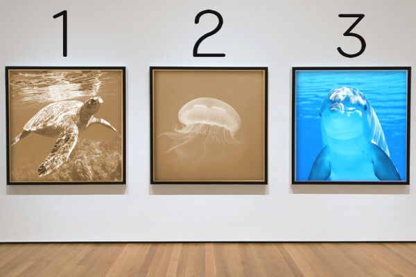 第1回透視テスト 第6問目の画像(解答)