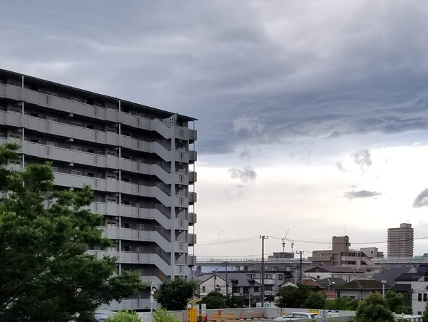 ピンク色に染まった空の写真