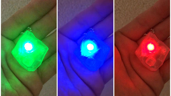 ばけたんの写真