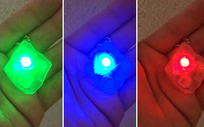 ばけたんの写真