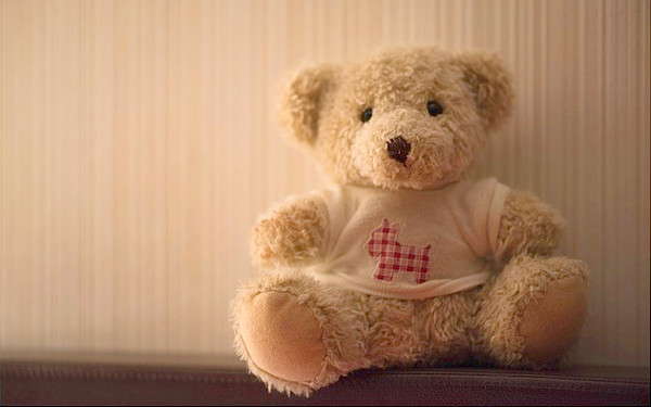 クマのぬいぐるみの写真