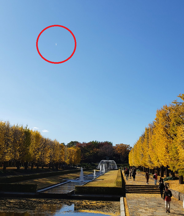 フライングヒューマノイドの写真