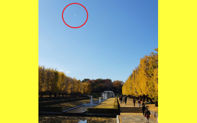 フライングヒューマノイドの写真