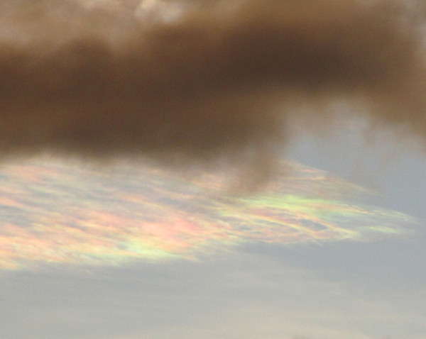 彩雲の写真