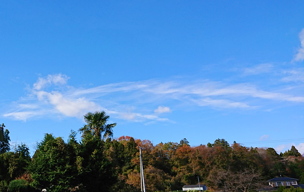 鳳凰のような雲の写真