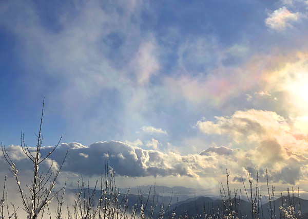 鳳凰のような彩雲の写真