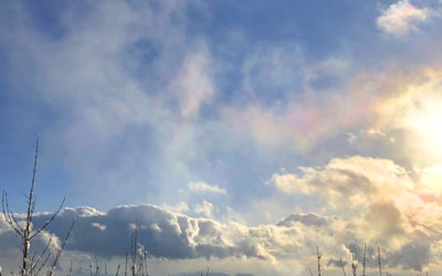 鳳凰のような彩雲の写真
