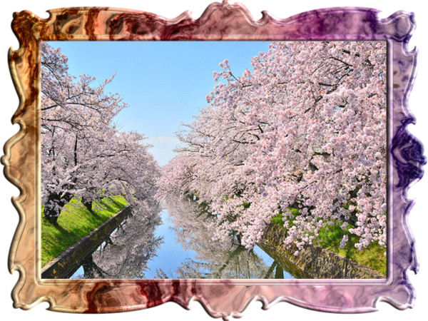 スペシャルレッスン8の解答