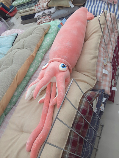 ダイオウイカの抱き枕の写真