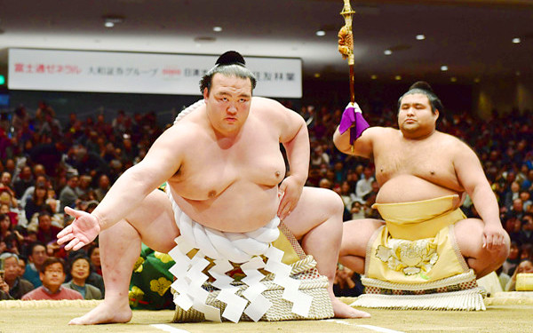 稀勢の里の写真
