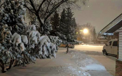 冬のイメージ写真