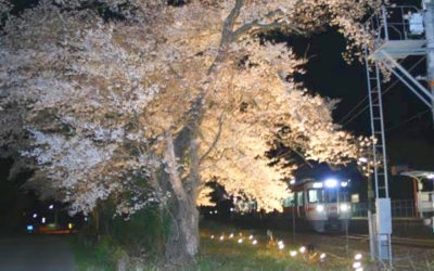 さとriさんからの投稿写真