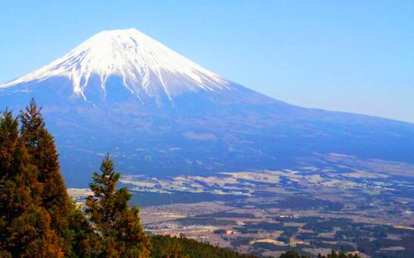 富士山の写真
