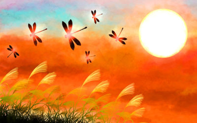 トンボのイメージイラスト