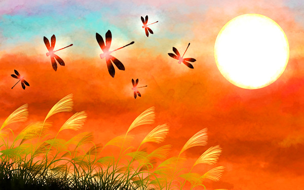 トンボのイメージイラスト