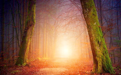 光のイメージイラスト