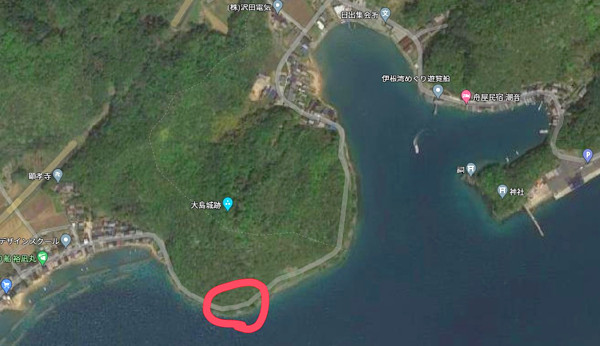 もるさんからの投稿写真