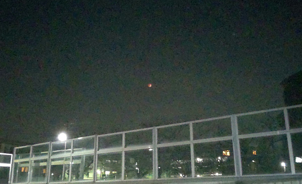 2021年11月19日の月(部分月食)