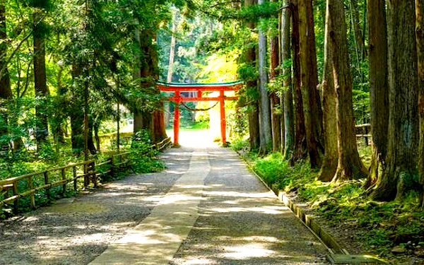 神社の鳥居の写真