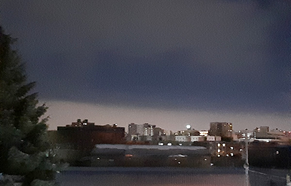 にゃんさんからの投稿写真