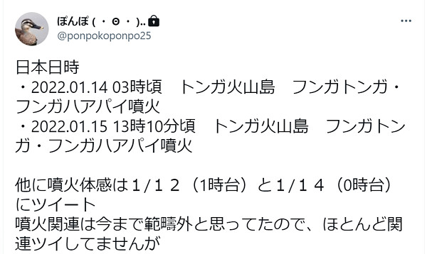 ぽんぽさんからの投稿画像