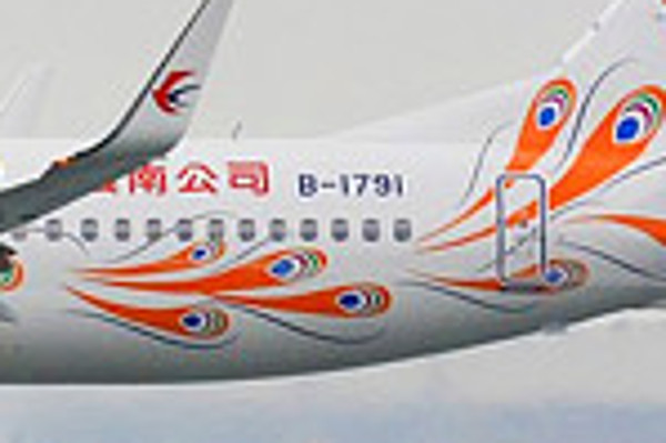 墜落した中国の旅客機(B-1791)