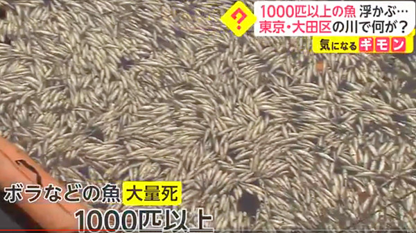 ニュースの画像