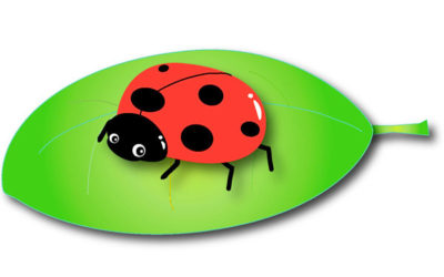 てんとう虫のイラスト