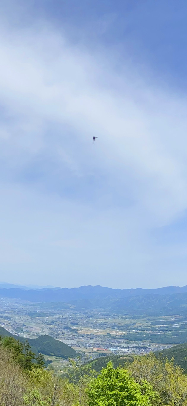 フライング・ヒューマノイドの写真