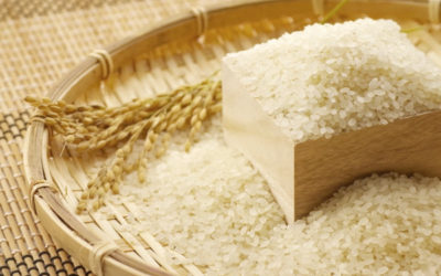 お米と稲穂の写真