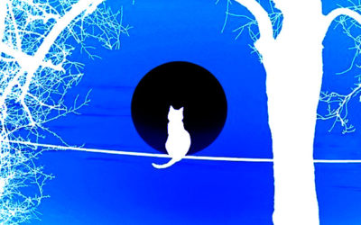 白猫のイメージイラスト