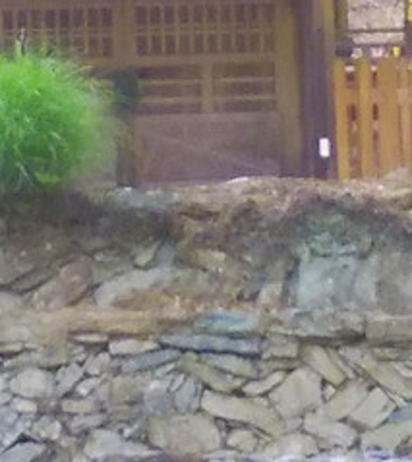 ちいぼんさんからの投稿写真