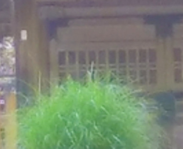 ちいぼんさんからの投稿写真