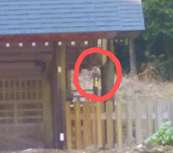 ちいぼんさんからの投稿写真