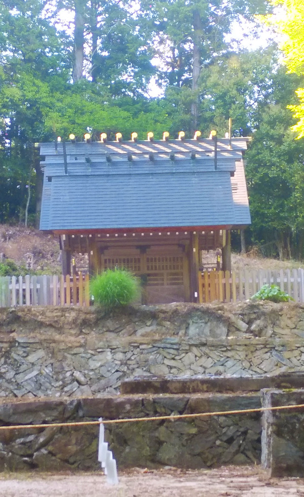 ちいぼんさんからの投稿写真