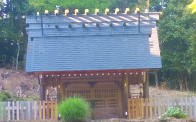 ちいぼんさんからの投稿写真