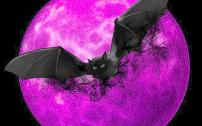 コウモリのイラスト