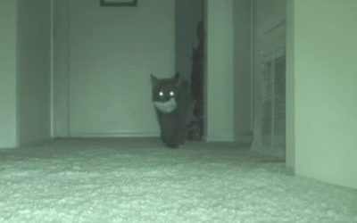 監視カメラの画像