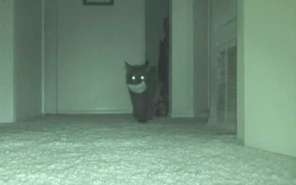 監視カメラの画像