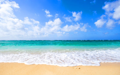 綺麗な海の写真