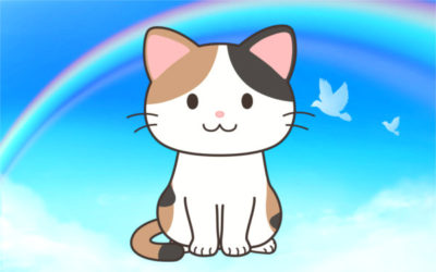 猫のイメージイラスト